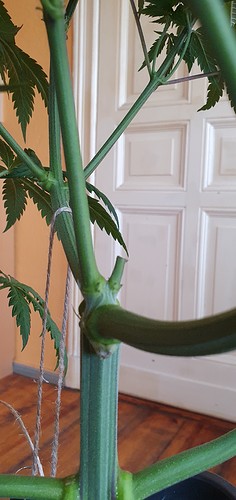 Growreport Bild 11