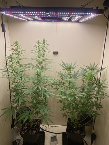 Growreport Bild 14