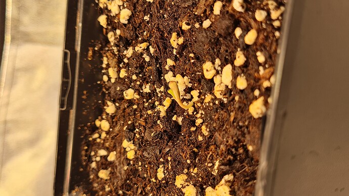 Growreport Bild 4