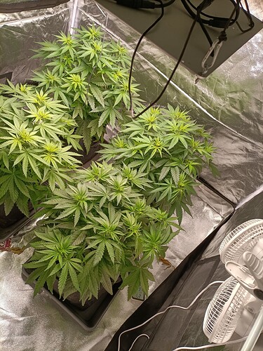 Growreport Bild 1