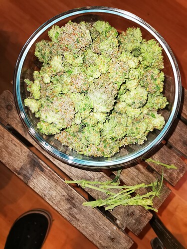 Growreport Bild 2