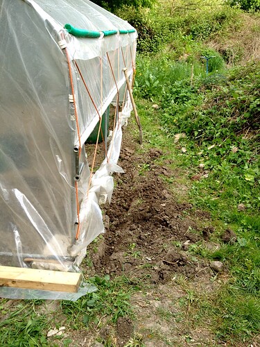 Growreport Bild 8