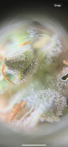 Growreport Bild 11