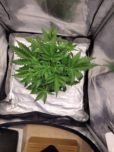 Growreport Bild 8