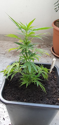 Growreport Bild 20