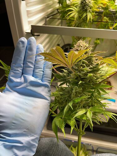 Growreport Bild 11
