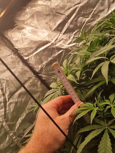 Growreport Bild 14