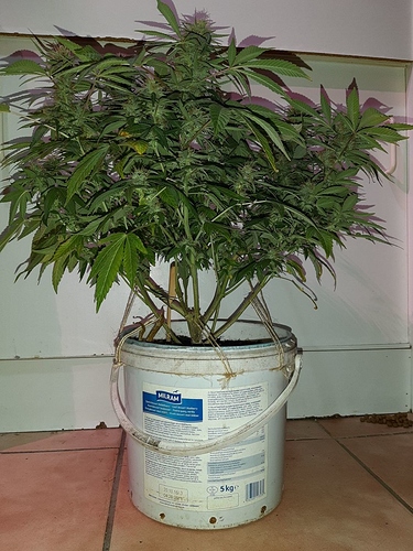 Growreport Bild 10