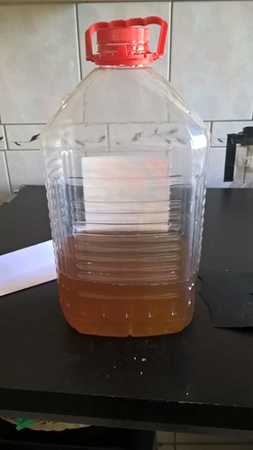 Growreport Bild 7