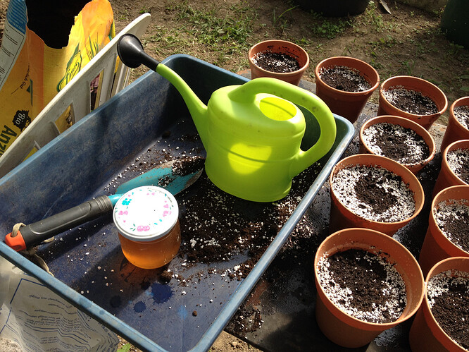 Growreport Bild 50