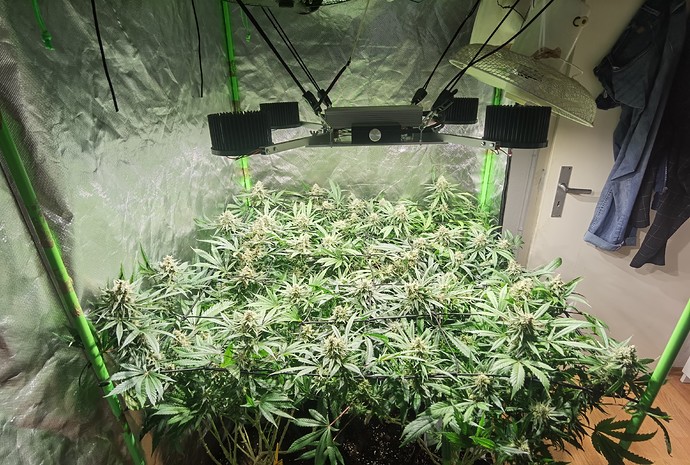 Growreport Bild 2