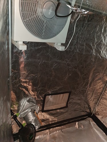 Growreport Bild 19