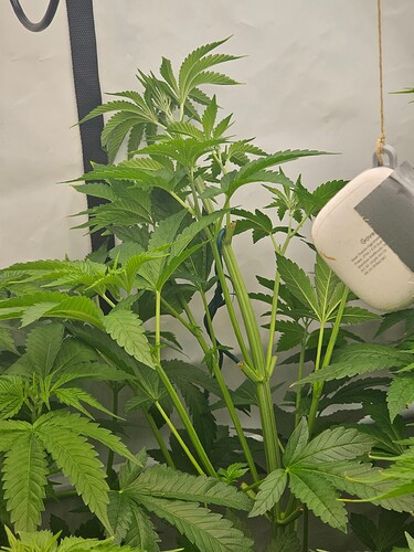 Growreport Bild 10