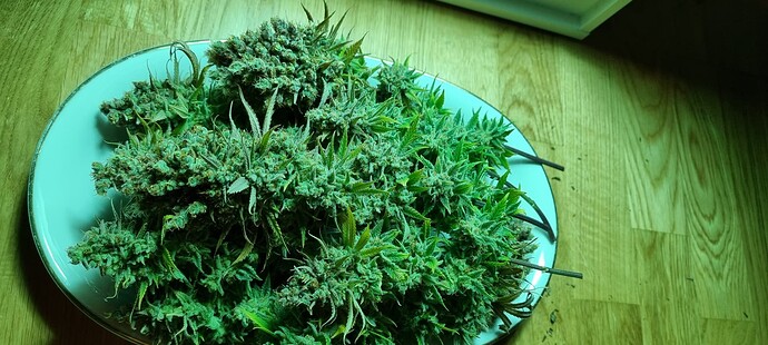 Growreport Bild 12