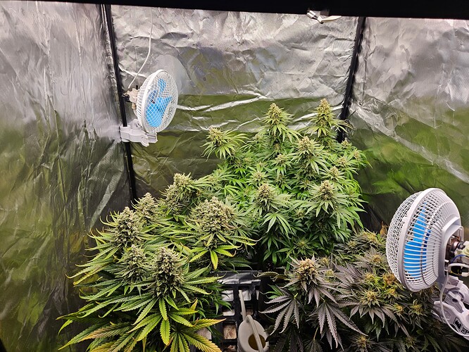 Growreport Bild 58