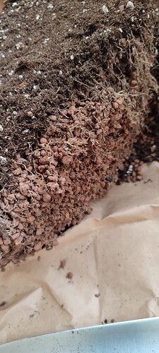 Growreport Bild 9