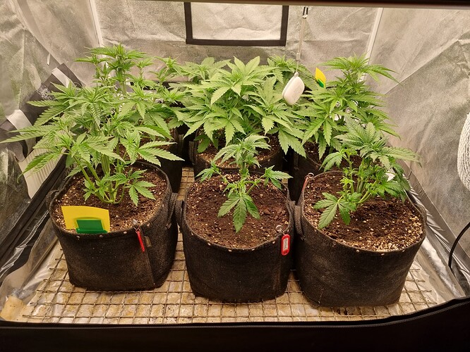 Growreport Bild 23