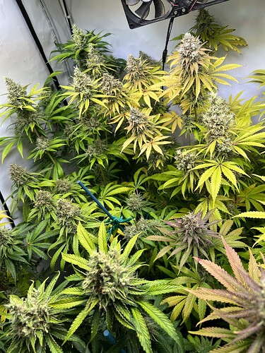 Growreport Bild 6