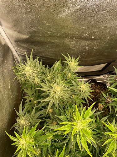 Growreport Bild 11