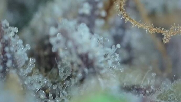 2022-06-25-032022266