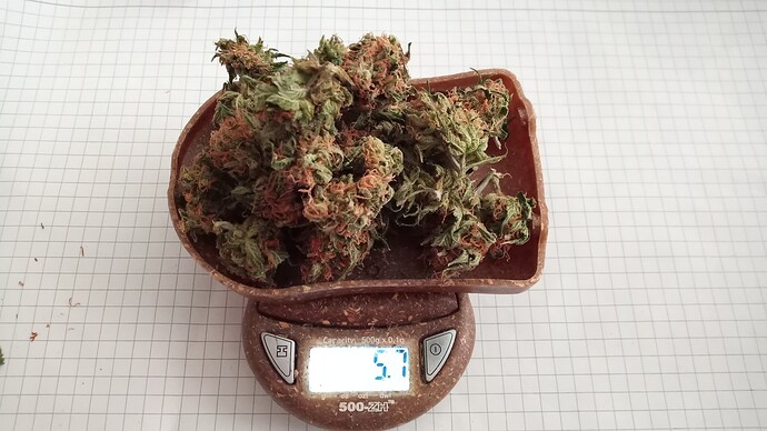 Growreport Bild 17