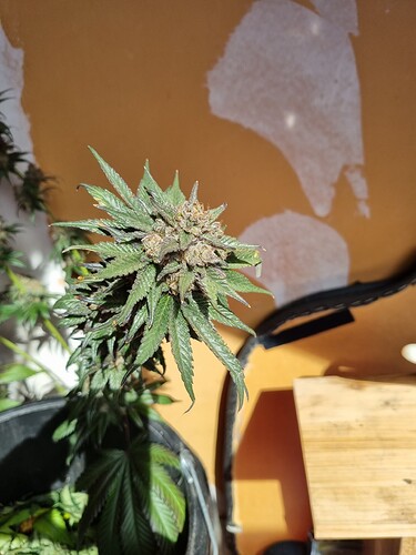 Growreport Bild 18