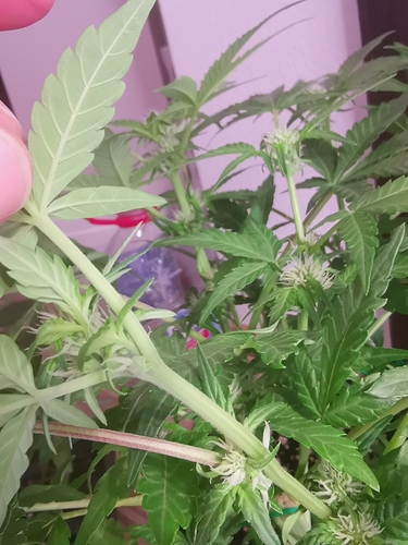 Growreport Bild 2
