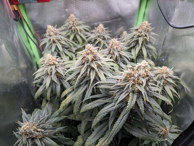 Growreport Bild 22