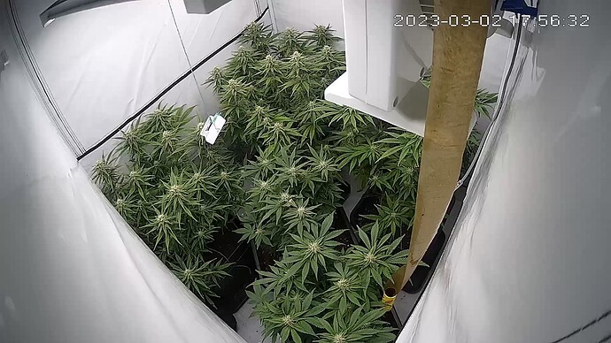 Growreport Bild 5