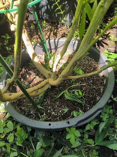 Growreport Bild 11