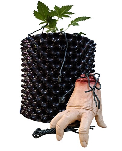 Screenshot_20231220_092939_PhotoRoom