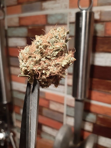Growreport Bild 9