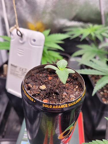 Growreport Bild 21