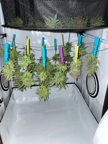 Growreport Bild 16