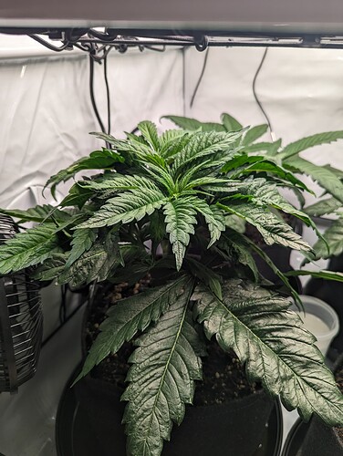 PXL_20231124_140404381