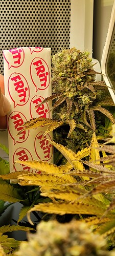 Growreport Bild 2