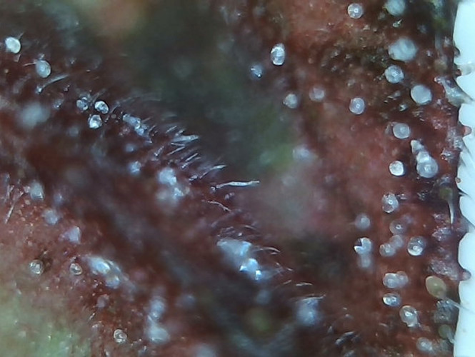 Growreport Bild 17