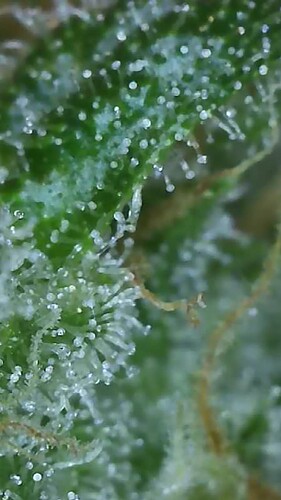 Growreport Bild 10