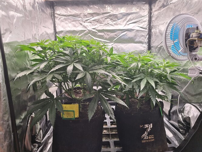 Growreport Bild 23