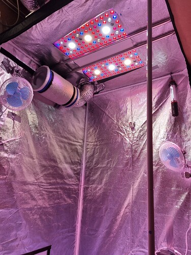 Growreport Bild 12