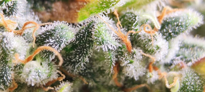 Growreport Bild 21