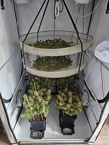 Growreport Bild 1