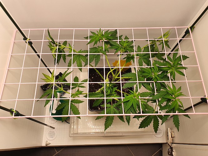 Growreport Bild 7