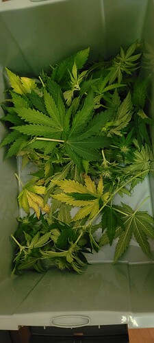 Growreport Bild 1