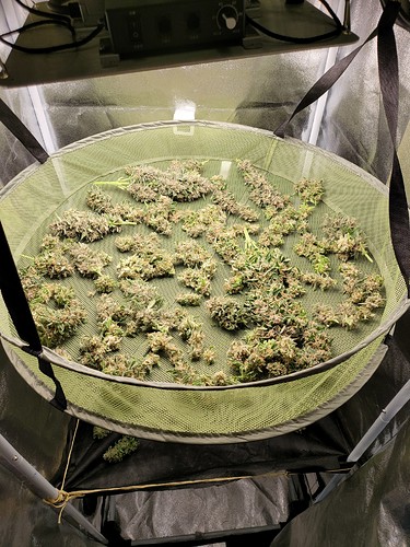 Growreport Bild 10