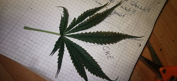 Growreport Bild 15