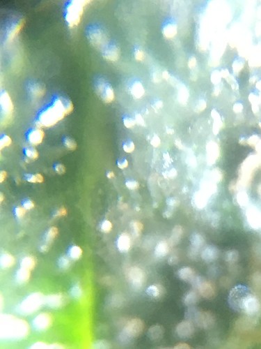 Growreport Bild 9