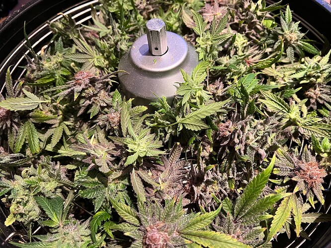 Growreport Bild 3