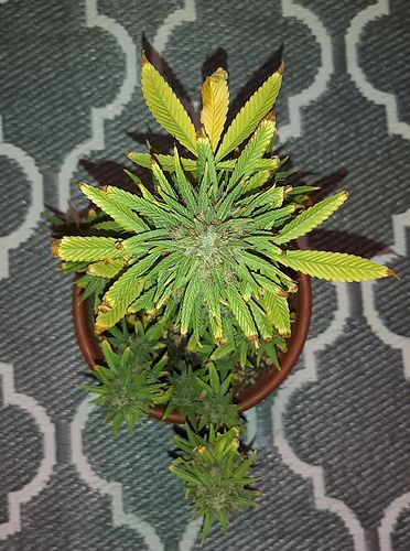 Growreport Bild 5