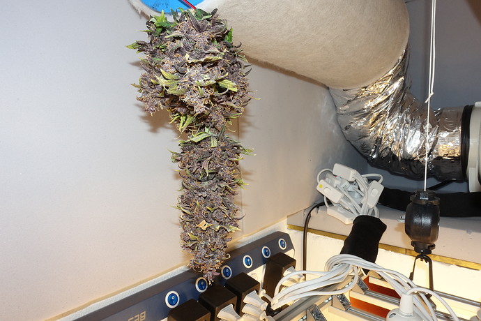 Growreport Bild 10